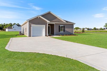 New construction Single-Family house 101 Rider Rd, Pikeville, NC 27863 plan Embark - image