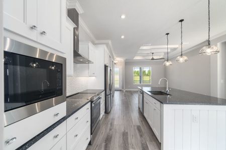 New construction Single-Family house 335 Conch Key Ln, Lady Lake, FL 32159 plan Amelia - image 8