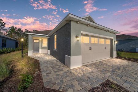 New construction Single-Family house 9682 Sw 108Th Terrace Rd, Ocala, FL 34481 - image