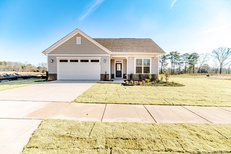 New construction Single-Family house 208 Speyburn (Homesite 174) St, Sanford, NC 27330 - image