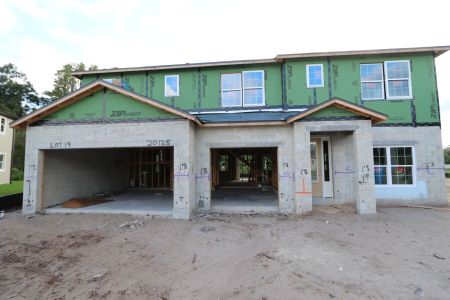 New construction Single-Family house 20125 Oriana Loop, Land O' Lakes, FL 34638 Santina II- photo 42 42