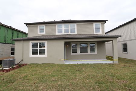 New construction Single-Family house 38326 Tobiano Loop, Dade City, FL 33525 Casanova- photo 111 111