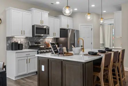 New construction Single-Family house 120 Railcar Wy, Clayton, NC 27520 plan The Concerto - image 10