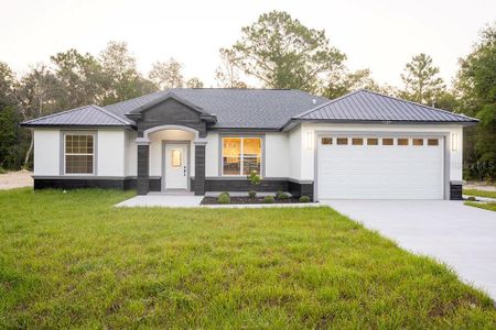 New construction Single-Family house 9229 Sw 125Th Court Rd, Dunnellon, FL 34432 - image