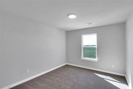 New construction Single-Family house 5064 Picasso Rd, Royse City, TX 75189 plan The Royal - image 11