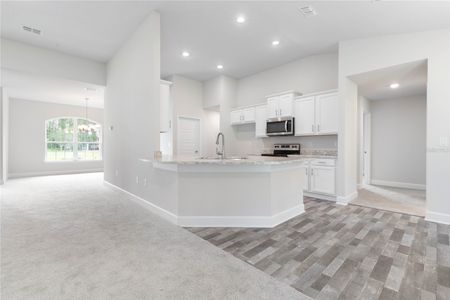 New construction Single-Family house 8457 Sw 59Th Ter, Ocala, FL 34476 null- photo 17 17