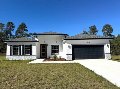 New construction Single-Family house 4875 Sw 159Th Lane Rd, Ocala, FL 34473 - image