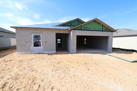 New construction Single-Family house 12263 Hilltop Farms Dr, Dade City, FL 33525 Sentinel- photo 18 18