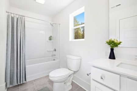New construction Single-Family house 236 Britt Green Rd, St. George, SC 29477 plan Gideon - image 18