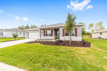 New construction Single-Family house 10710 SW 104th Pl, Ocala, FL 34481 - image