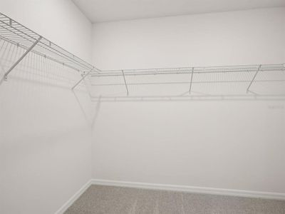 New construction Single-Family house 1760 Coolridge Pl, Zephyrhills, FL 33541 plan Essex - image 12