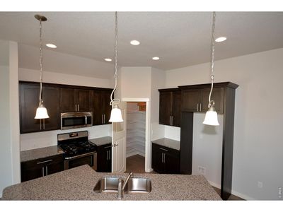 New construction Single-Family house 1145 Bitterroot Ct, Johnstown, CO 80534 - image 3