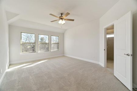 New construction Single-Family house 7322 Nandina Dr, Midlothian, TX 76084 Silverado- photo 10 10