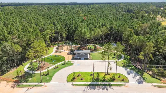 New construction Single-Family house 25171 Pomegranate Pl, Montgomery, TX 77316 - image 6