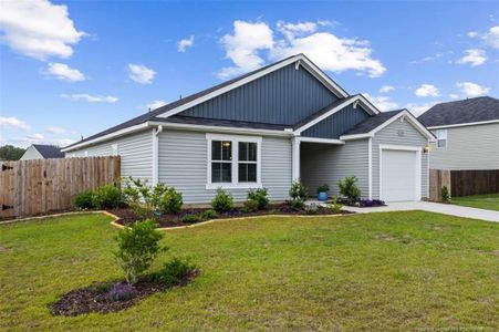 New construction Single-Family house 192 Walters Run Dr, Raeford, NC 28376 - image