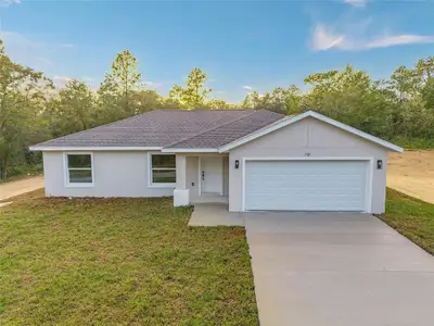 New construction Single-Family house 2892 Sw Harbor Hills Rd, Dunnellon, FL 34431 - image