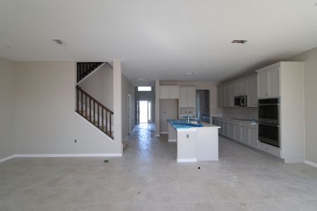 New construction Single-Family house 38338 Tobiano Loop, Dade City, FL 33525 Mira Lago- photo 99 99