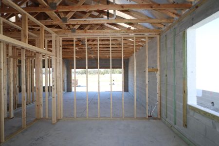 New construction Single-Family house 3142 Adams Cross Dr, Zephyrhills, FL 33540 Picasso- photo 22 22