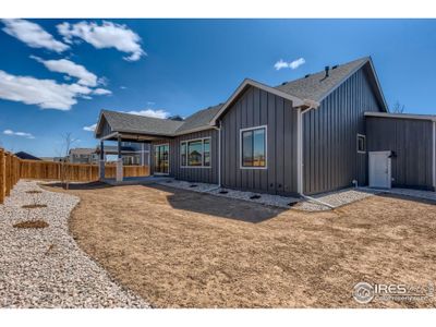 New construction Single-Family house 853 Clydesdale Drive, Windsor, CO 80550 - photo 1 1