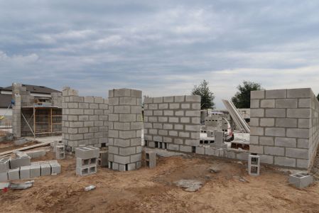 New construction Single-Family house 12176 Hilltop Farms Dr, Dade City, FL 33525 Malibu- photo 1 1