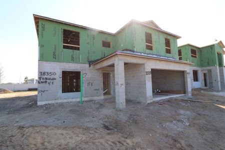 New construction Single-Family house 38350 Tobiano Loop, Dade City, FL 33525 Cabo- photo 22 22