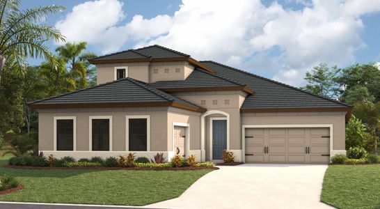 Triple Creek by Homes by WestBay in Riverview - photo 22 22