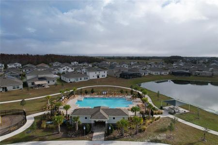 New construction Single-Family house 420 Watusi Way, Saint Cloud, FL 34772 null- photo 11 11