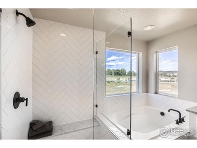 New construction Multi-Family house 2747 Crystal Spgs, Longmont, CO 80501 Eldorado - photo 21 21