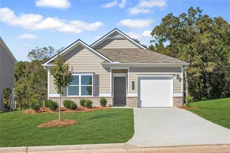 New construction Single-Family house 138 Fair Oak Ln, Calhoun, GA 30701 - image