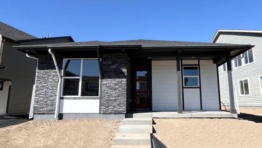 New construction Single-Family house 2273 Peregrine Dr, Brighton, CO 80601 Castlewood- photo 0 0