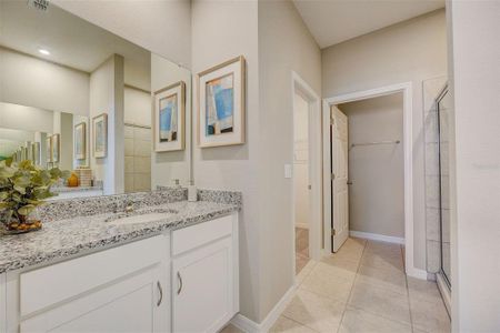 Village at Windsor Reserve by Stanley Martin Homes in Eagle Lake - photo 24 24