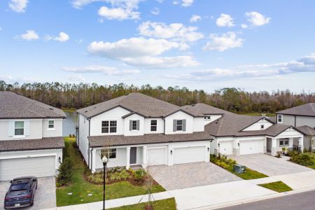 New construction Single-Family house 7819 Notched Pine Bnd, Wesley Chapel, FL 33545 Windsor- photo 76 76