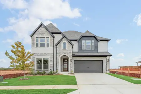 New construction Single-Family house 14458 Lovelace St, Pilot Point, TX 75009 plan Rose II - image