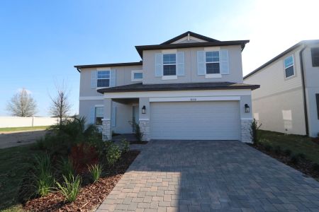 New construction Single-Family house 38350 Tobiano Loop, Dade City, FL 33525 Cabo- photo 144 144