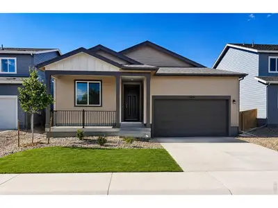 New construction Single-Family house 1454 Boyle St, Windsor, CO 80550 plan Charleston - image