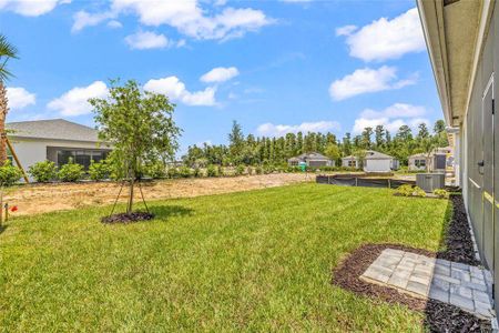 New construction Single-Family house 32565 Veneto Pl, Wesley Chapel, FL 33543 - image