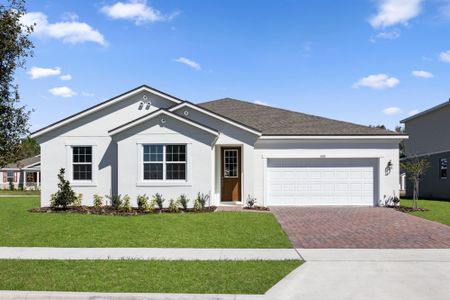 New construction Single-Family house 2681 Ginseng Ivy St, Apopka, FL 32703 Dahlia- photo 17 17