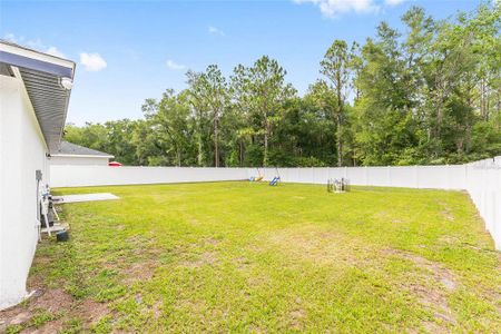 New construction Single-Family house 3781 Se 144Th Ln, Summerfield, FL 34491 - image