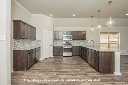 New construction Single-Family house 424 Honeydew Wy, Seguin, TX 78155 plan The 2082 - image