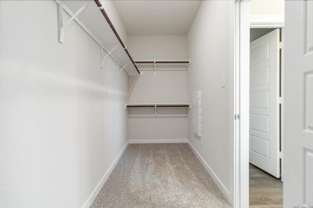New construction Single-Family house 6026 Willow Point Blvd, San Antonio, TX 78219 plan Linden - image 16