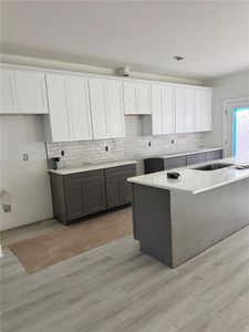 New construction Single-Family house 243 Cassidy Trl, Douglasville, GA 30134 - image