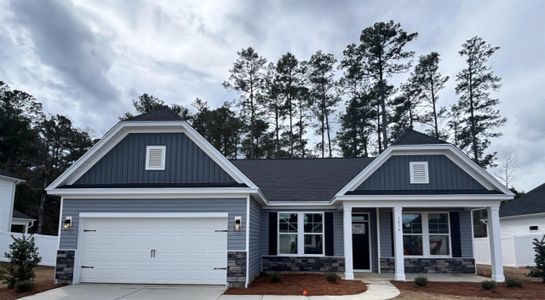 New construction Single-Family house 1216 Mill Banks Dr, Unit 47, Longs, SC 29568 - image