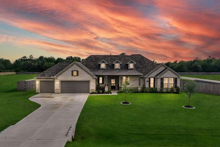 New construction Single-Family house 9602 Sweet Tea Ln, Needville, TX 77461 - image