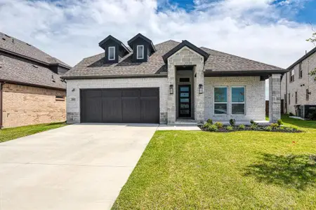 New construction Single-Family house 13869 Riola Dr, Little Elm, TX 75068 - image