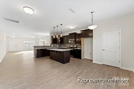 New construction Single-Family house 213 Streamside Dr, Unit 88p, Red Cross, NC 28129 - image