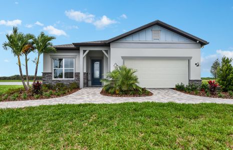 New construction Single-Family house 8816 Sky Sail Cv, Parrish, FL 34219 null- photo 0