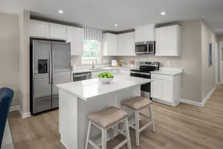 New construction Single-Family house 680 Big Bend Ct, Unit 101, White House, TN 37188 plan Chestnut - image