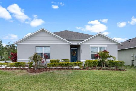 New construction Single-Family house 2900 Sunridge Loop, Saint Cloud, FL 34771 CALI- photo 0