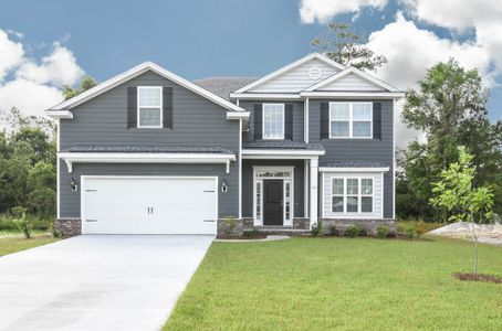 New construction Single-Family house Richmond Hill, GA 31324 plan Hilton - image
