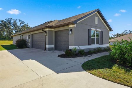 New construction Single-Family house 41043 Stanton Hall Dr, Dade City, FL 33525 - image
